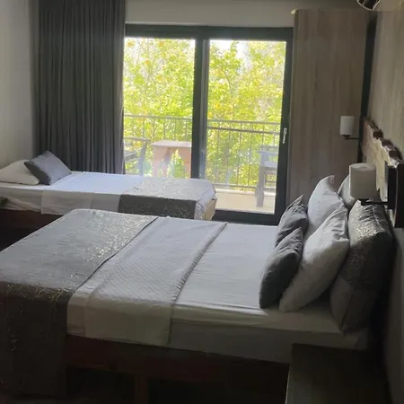 ホテル Ekincik Sayfiye *