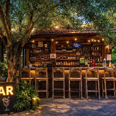 ホテル Ekincik Sayfiye *