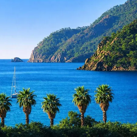 ホテル Ekincik Sayfiye *