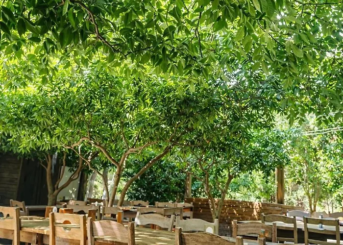 Hotel Ekincik Sayfiye *